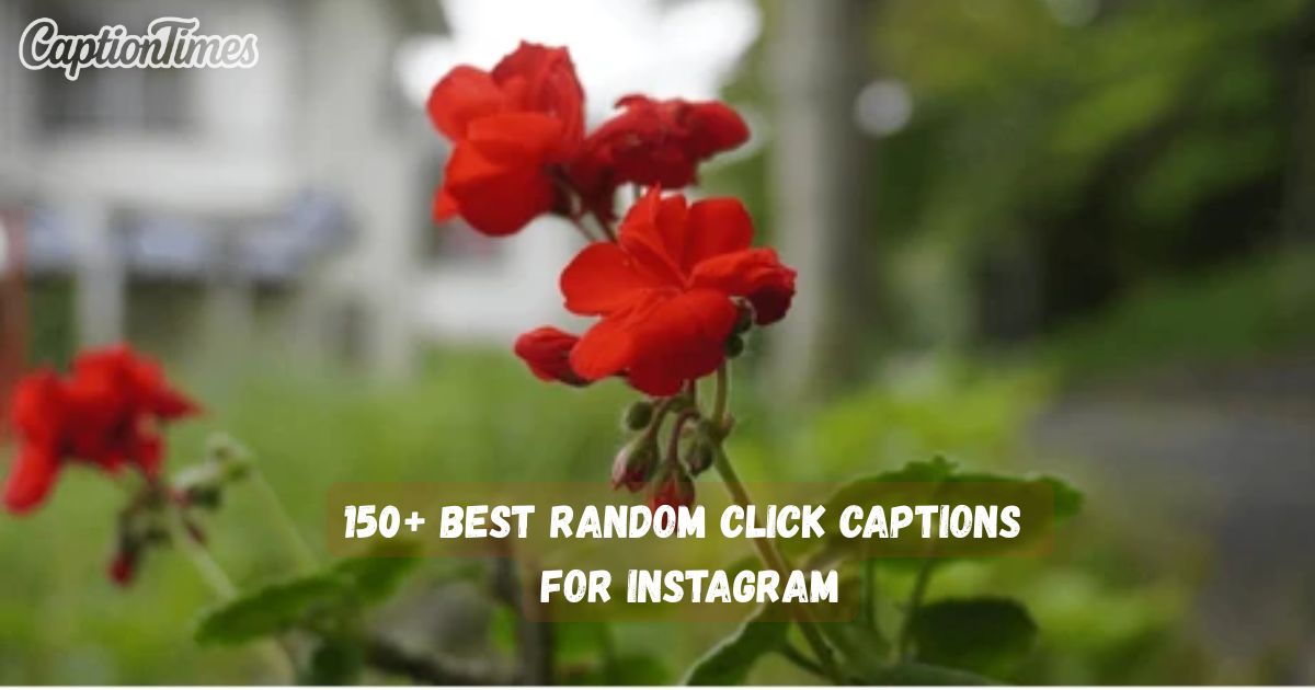 Random Click Captions