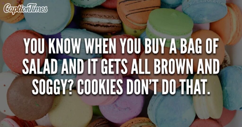 Funny cheat day Instagram captions