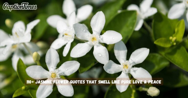 Jasmine Flower Quotes