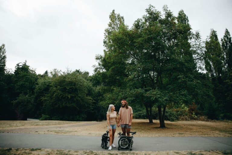 Foldable Electric Bike vs Standard E-Bike